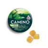 camino sours near me​